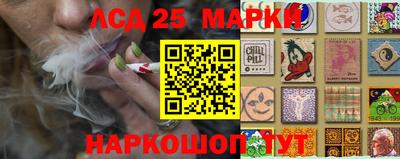 гидра Заволжье