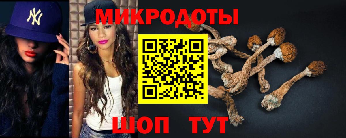 Галлюциногенные грибы прущие грибы Заволжье