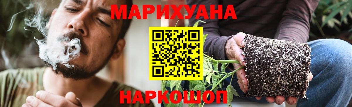 Заволжье  МАРИХУАНА LSD WEED  Вход с VPN  Канабис OG Kush 